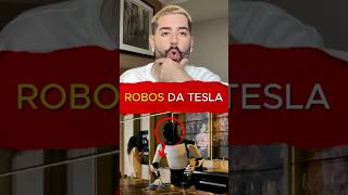 Novos Robos da Tesla ruyter ruyterpoubel [upl. by Jahdal164]