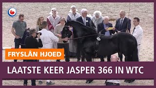 HENGSTENKEURING Huldiging voor Jasper 366 [upl. by Graniah982]