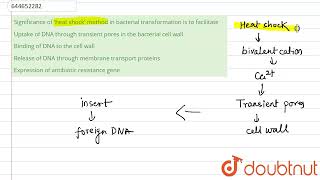 Significance of \heat shock\ method in bacterial transformation is to facilitate  12  BIOTE [upl. by Eenal]