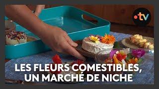 Les fleurs comestibles  un marché de niche à découvrir [upl. by Holds]