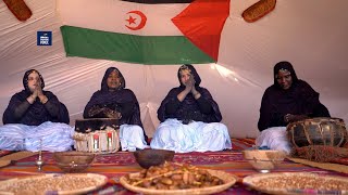 The Dajla Bands Madah westernsahara [upl. by Rokach]