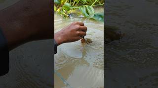 Unique Fishing hand Fishing Challenge Video 😲fishingshortsviralshort [upl. by Rogovy]