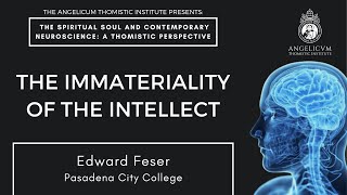 The Immateriality of the Intellect  Edward Feser [upl. by Rolyat435]