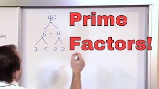 Prime Factorization  5th Grade Math  Finding Factors of a Number Factoring  Math Homework Help [upl. by Laehcimaj]