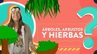 Árboles arbustos y hierbas [upl. by Timon]