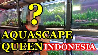 Mengunjungi Tetua Aquascape Paling Nyentrik Di Indonesia  Queen Of Aquascape Indonesia [upl. by Orr]