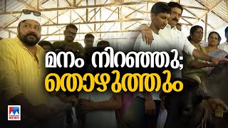 തൊഴുത്ത് നിറയെ ഇനി പശുക്കള്‍ ചേര്‍ത്തണച്ച് താങ്ങേകി മലയാളനാട്  Idukki  Farmers [upl. by Jeniece]