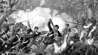 The Seminole War  Crash Course US History [upl. by Anier]