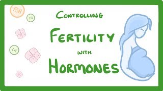 GCSE Biology  What is IVF How Does IVF Work and What Are The Risks IVF Explained 62 [upl. by Takara]