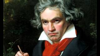 Ludwig Van Beethovens 5th Symphony in C Minor Full [upl. by Niajneb]