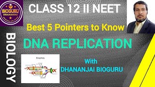 BEST FIVE POINTERS TO KNOW DNA REPLICATION II CLASS 12 II NEET II NCERT II [upl. by Bridie]