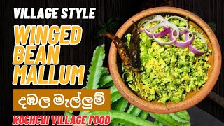 රස ගුණ පිරි දඹල මැල්ලුම්  Dambala Mallum  Winged Bean Mallum Recipe  Village Style Dambala Recipe [upl. by Holsworth]