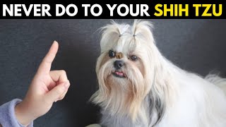 12 Forbidden Actions Every Shih Tzu Owner Must Avoid [upl. by Notffilc]