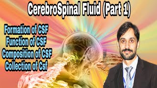 Cerebrospinal fluid  Part1 FormationFunctionComposition amp Collection [upl. by Dinny]