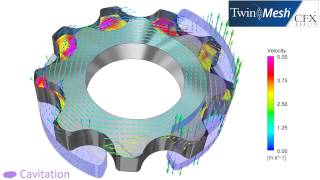 CFX BerlinVideo CFD Analysis Results of a Gerotor Pump [upl. by Sucram40]