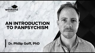 Panpsychism Is Everything Conscious  Dr Philip Goff PhD [upl. by Ymmak475]