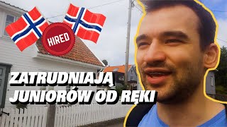 Rynek IT i Sylwetki Programistów w Norwegii VLOG 14 [upl. by Ferretti321]