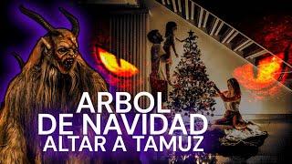 El oscuro origen del Árbol de Navidad 🎄😨 [upl. by Eciram]