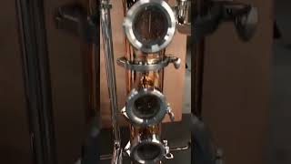 Alcohol distiller equipment vodka distilling machine for sale brewingdistillery machine [upl. by Lihkin]