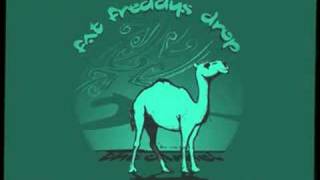 Fat Freddys Drop  The Camel [upl. by Strenta]