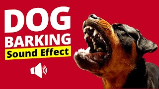 Dogs Barking Sound Effect  Realistic Dog Bark Sound [upl. by Eatnoled]