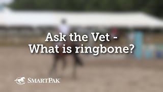 Ask the Vet  What is ringbone [upl. by Richma143]