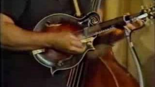 Seldom Scene Live Birchmere 1979 Part 2 [upl. by Anneirb]