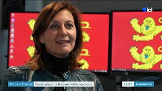 Sophie GAUGAIN  France 3 Normandie  7 novembre 2024 [upl. by Lizzie]