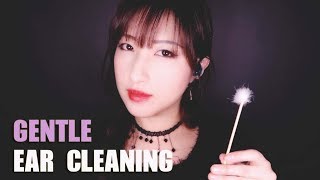 ASMR Gentle Ear Cleaning No Talking [upl. by Zoara]