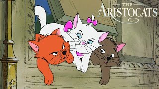 What Were the Names of the Three Kittens in The Aristocats  Disney FAQ [upl. by Lleira]