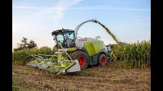 Ensilage 2017 I Claas Jaguar 960 I Cuma Condé sur Vire [upl. by Aranat]