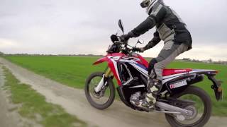 Honda CRF 250 Rally Epic offroad adventure riding [upl. by Nakasuji]