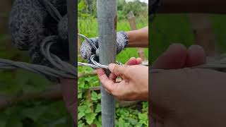 How to tie iron cable to pole firmly [upl. by Crockett951]