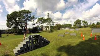 Police Physical Agility Test [upl. by Fanning]