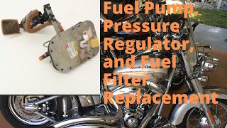 How To DIY Replace a Harley Davidson Fuel pump Fuel filter and Fuel Pressure Regulator [upl. by Aetnuahs]