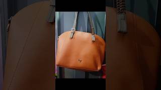 Baggit handbags music songbaggitlyricshortsvideo bag [upl. by Dnamra]