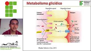 Metabolismo carboidratos parte I [upl. by Notnert691]