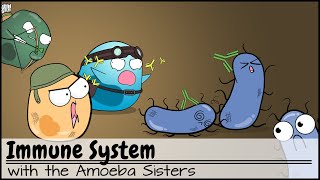 Immune System [upl. by Bina508]