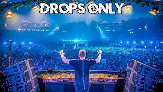 Hardwell Tomorrowland 2015 Drops Only [upl. by Baecher676]