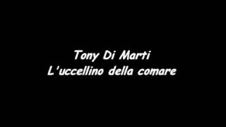 Luccellino della comare di TONY DI MARTI [upl. by Hanauq]