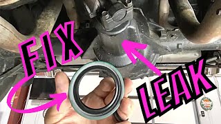 How to Replace a Rear Differential Pinion Seal  GM 10 Bolt 1979 Pontiac Trans Am [upl. by Nyer354]