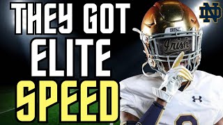 Brauntae Johnson DANGEROUS Playmaker  4⭐️ Notre Dame Fighting Irish Safety ATH Recruit  Highlights [upl. by Laird651]