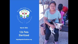 Baja Dogs Sterilizations May 2024 Campaign Pictures [upl. by Annoyt]