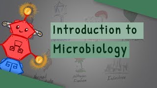 Introduction To Microbiology [upl. by Enileuqcaj469]