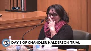 Day 3 of Chandler Halderson homicide trial [upl. by Janene]