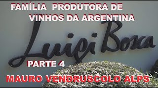 SÉRIE FAMÍLIAS DOS VINHOS DA quotLUIGI BOSCAquot PARTE 4 COM PREÇOS [upl. by Anilorac780]