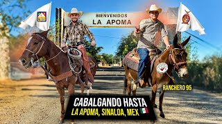 Cabalgando en BURRO hasta LA APOMA Sinaloa 🇲🇽 junto con ranchero95 y chemanimals [upl. by Sausa139]