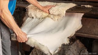 Leather Tanning Process [upl. by Yahsat]