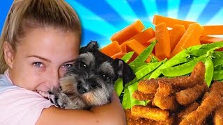 ASMR WITH MINE AND LAZARBEAMS DOG [upl. by Malloy]