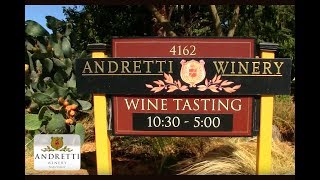 Andretti Winery in the Napa Valley Vineyards [upl. by Ylus]